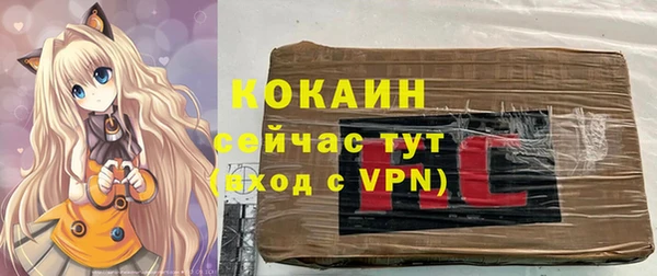 дмт Лиски