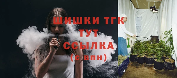 гидра Ступино